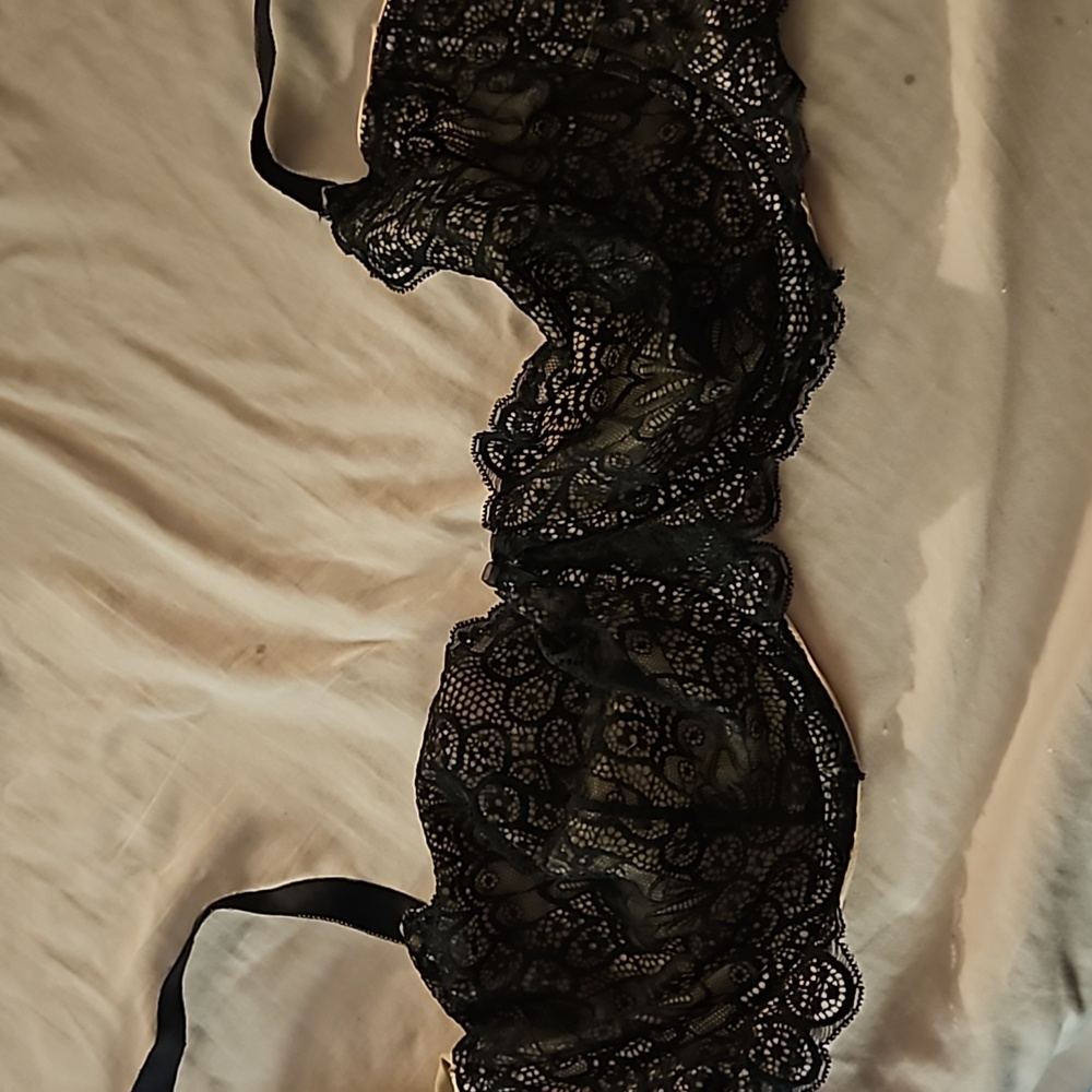 Torrid bra